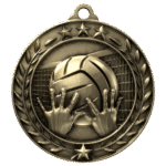 volleyball-gold