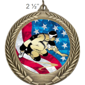 Wrestling Award Medal -Mylar Design – Gold, Silver, Bronze – 2 1/2" - Image 1