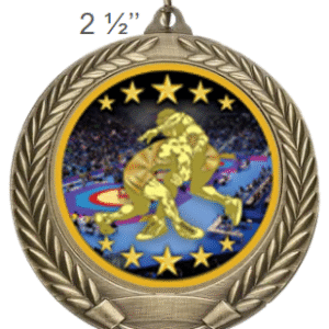 Wrestling Award Medal -Mylar Design – Gold, Silver, Bronze – 2 1/2" - Image 1